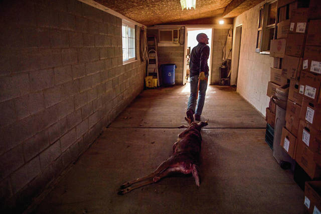 2005194_web1_GTR-DeerSeason-15-120119