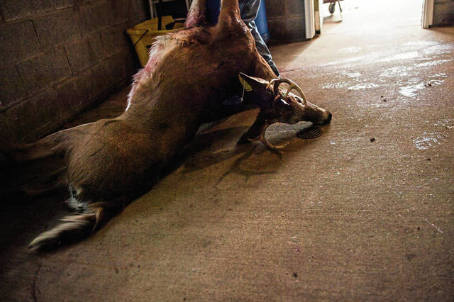 2005194_web1_GTR-DeerSeason-16-120119