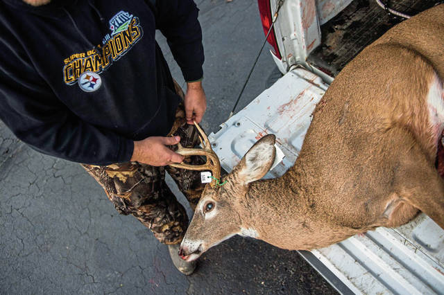 2005194_web1_GTR-DeerSeason-20-120119