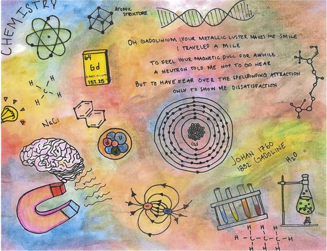 Shaler Area junior wins National Illustrated Poetry Contest