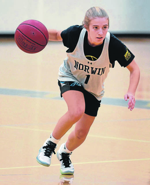 Starting 5: A guide to the Westmoreland County girls high school basketball season