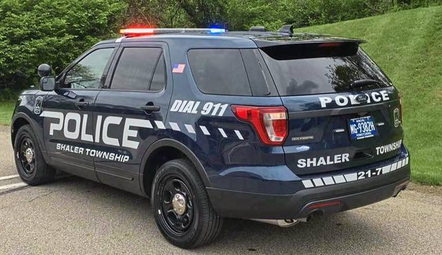 Shaler woman charged in connection with assault of her infant daughter