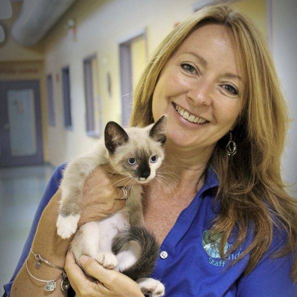 Animal Friends in Ohio Township names new president & CEO