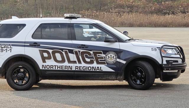 Pine community wants neighborhood speeding stopped before it’s too late