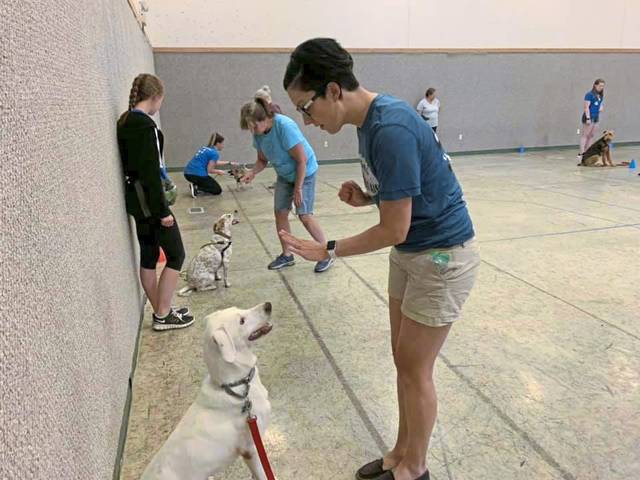 2047984_web1_gtr-liv-dogfun5-121519