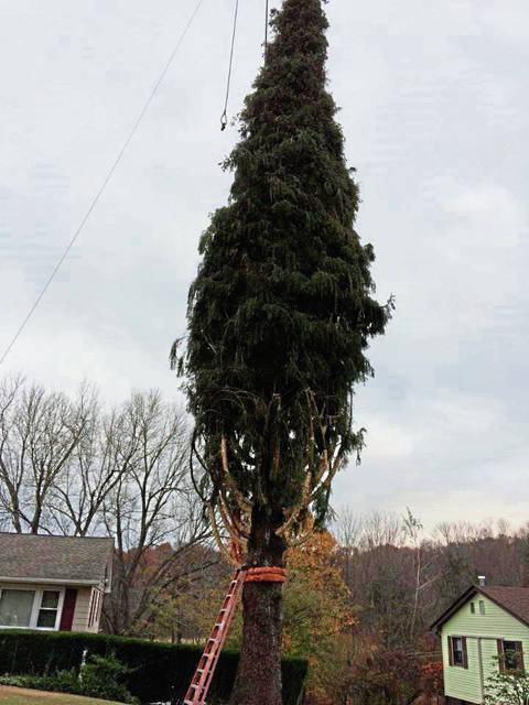 2053392_web1_gtr-RockTree5-110719