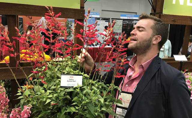 2053516_web1_gtr-liv-2020plants7-122019