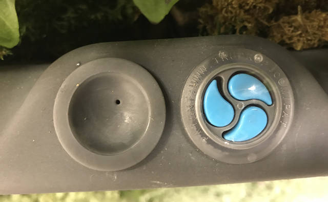 2053516_web1_gtr-liv-2020plants8-122019