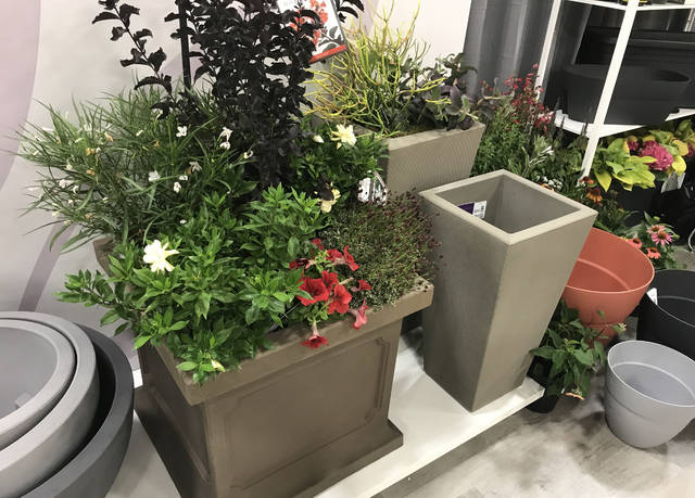 2053516_web1_gtr-liv-2020plants9-122019