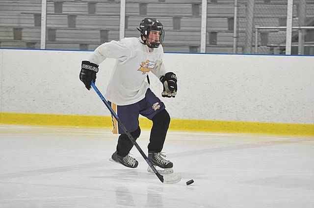 Plum, Kiski Area hockey to raise money for Brian Shaw Memorial Fund