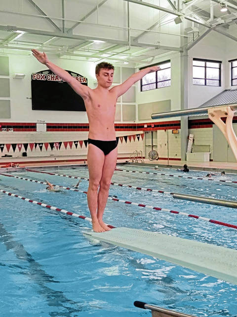 Confidence, repertoire grow for Fox Chapel diver David Manelis<span class="headline-video">Video <i class="fa-solid fa-circle-play"></i></span>