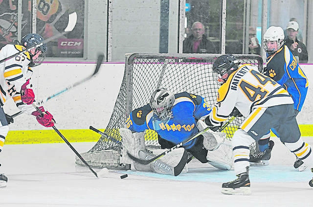 Hampton hockey hanging tough despite struggles