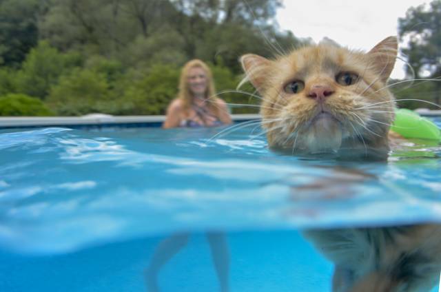 2087448_web1_VND-AquaCat2-080219