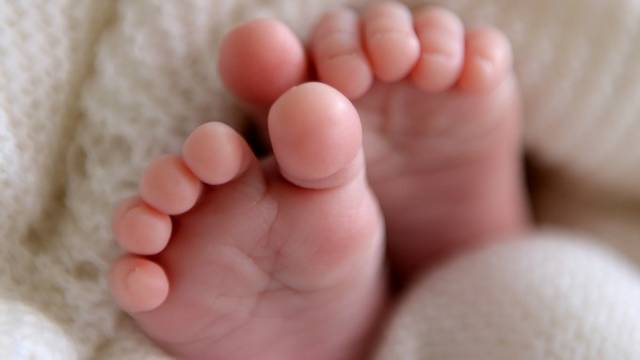 2091231_web1_ptr-VeggieBirth-2-011619