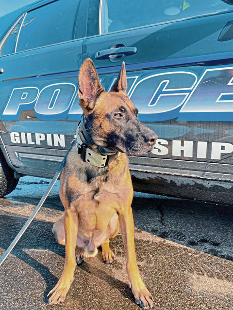 2092720_web1_vnd-GilpinPoliceDog3-122019