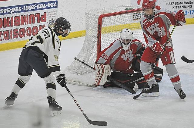 ‘Building year’ for youthful Freeport hockey