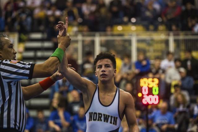Norwin’s Kurtis Phipps ready to defend Powerade titles