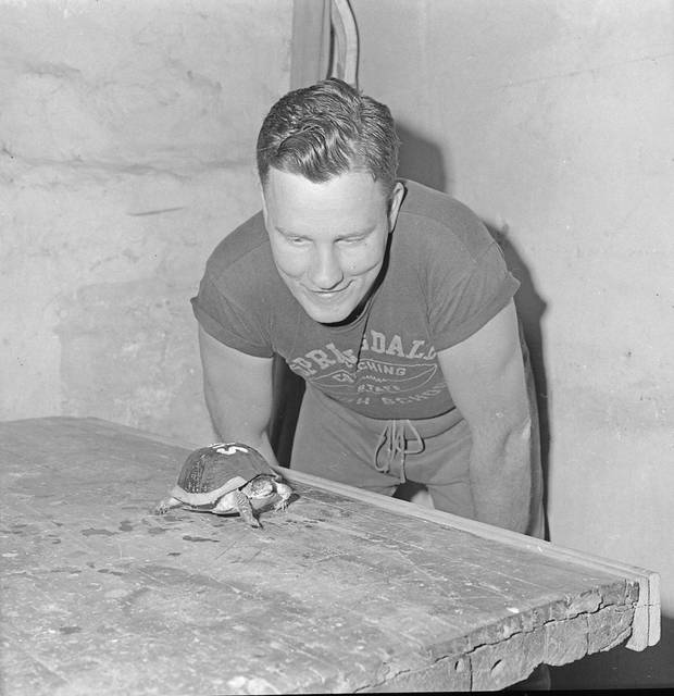 George Guido: Unbeaten Springdale — and its pet turtle — worth remembering