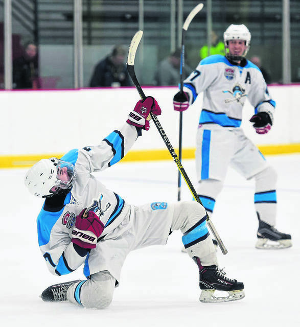 New-look Burrell hockey team finds stability