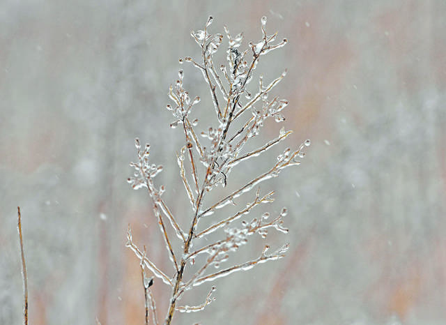 2126225_web1_SnowRainMix2