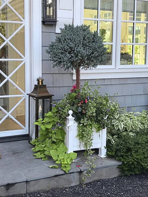 2040010_web1_gtr-liv-garden-01-010519