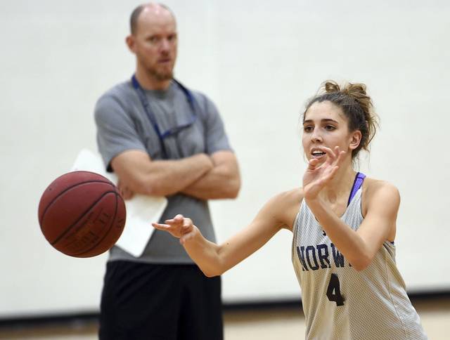 Westmoreland County girls basketball notebook: Danielle Rosso steps up for Norwin