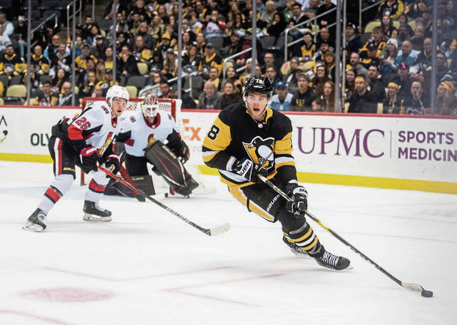 2134287_web1_PTR-Penguins025-123119