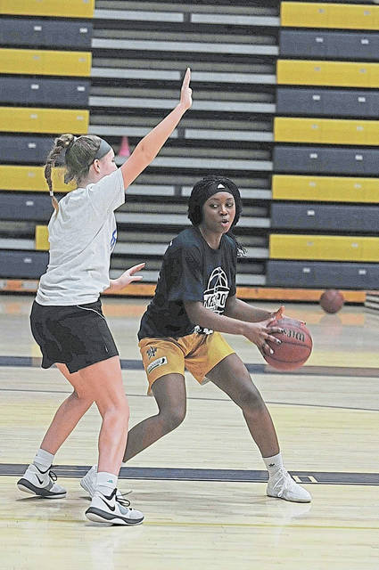 Plum girls improving in quest for Section 2 championship