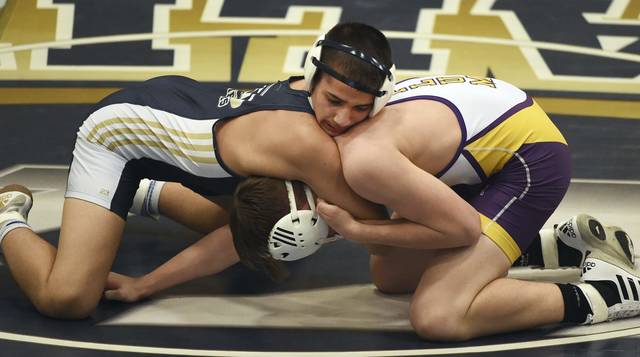 Wrestling teams qualified for WPIAL sectionals through Jan. 12, 2020