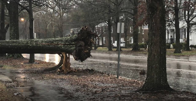 2179925_web1_2179925-1c95f4b55f5a49359518644c8f81c6be