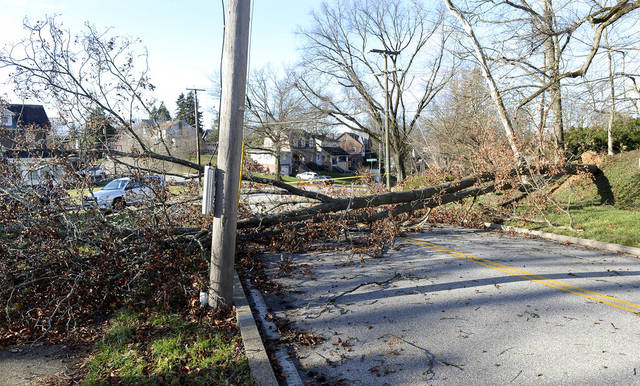 2179925_web1_AP20012654310177