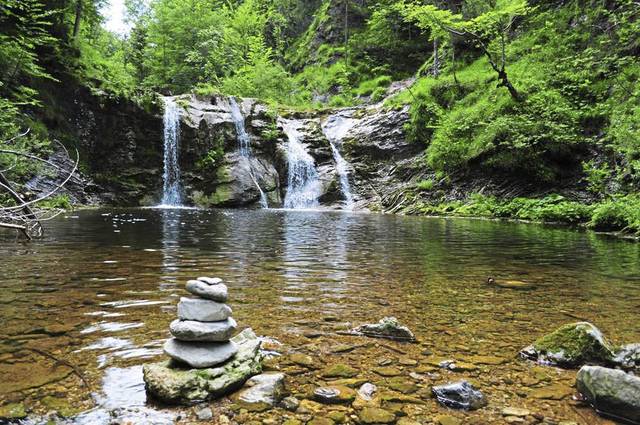 Health of Big Sewickley Creek Watershed topic of upcoming meeting