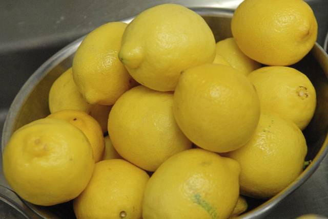 2191104_web1_web-lemon00