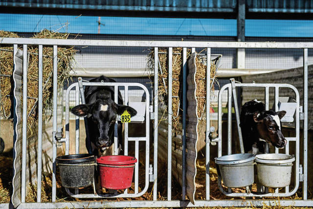 2216699_web1_gtr-vetfarm001-101118