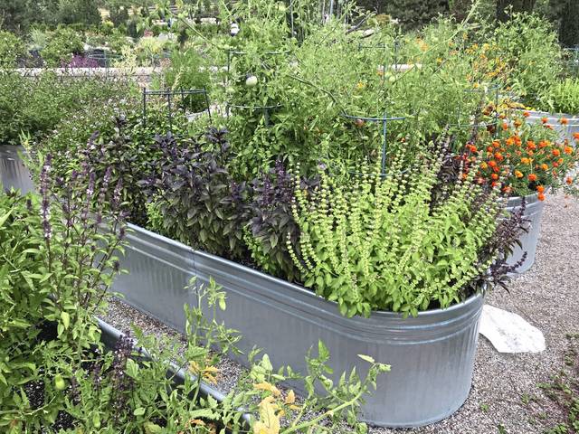 2221407_web1_gtr-liv-garden-012620