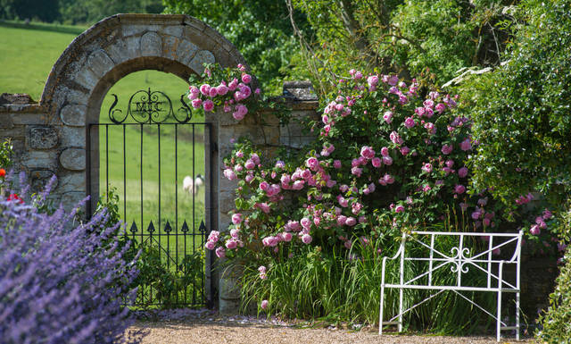 2226526_web1_gtr-liv-newroses3-013120