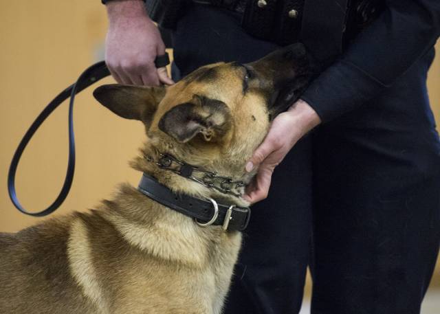 2233470_web1_PTR-K9ceremony-003-012520