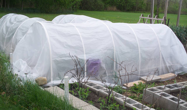 2276729_web1_winter_vegetable_growing_2