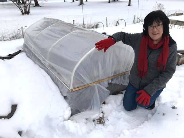 2276729_web1_winter_vegetable_growing_3
