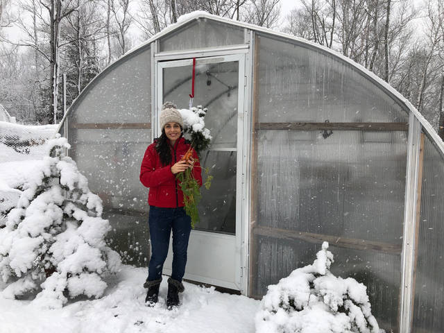 2276729_web1_winter_vegetable_growing_8