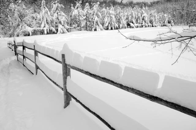 2277054_web1_ptr-snowmageddon-047