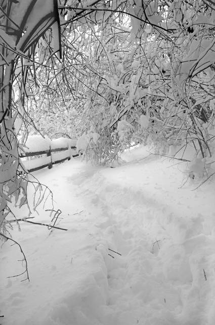 2277054_web1_ptr-snowmageddon-048