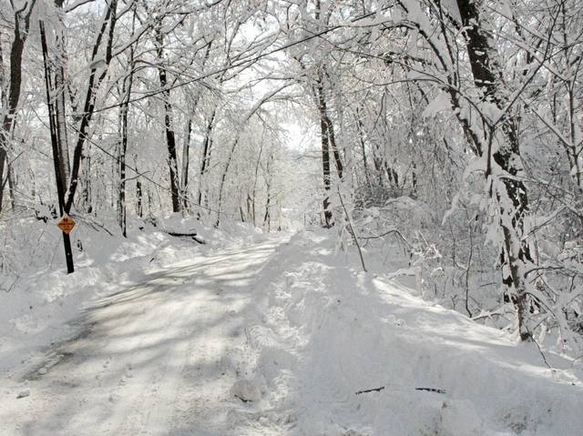 2277054_web1_ptr-snowmageddon-051