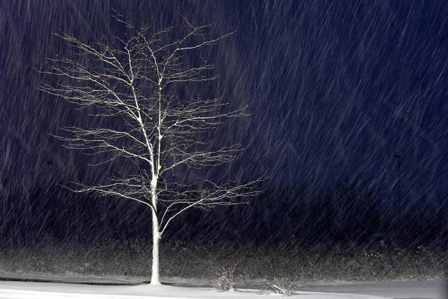 2291294_web1_GTR-snowday2-020820