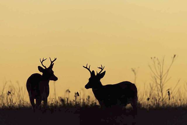 2314555_web1_gtr-OutBucks-021620