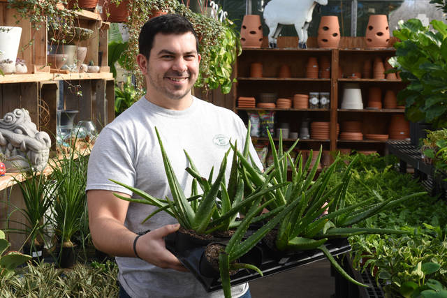 2316185_web1_gtr-liv-succulents2-021420