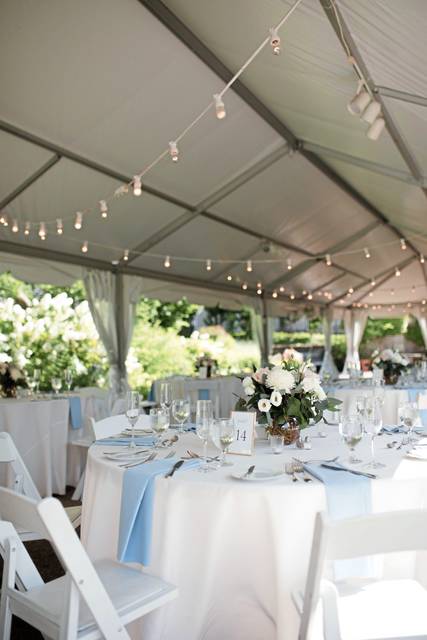 2337487_web1_ptr-phippswedding