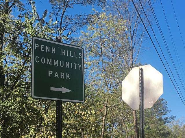 Council approves 2020 Parks and Recreation events calendar