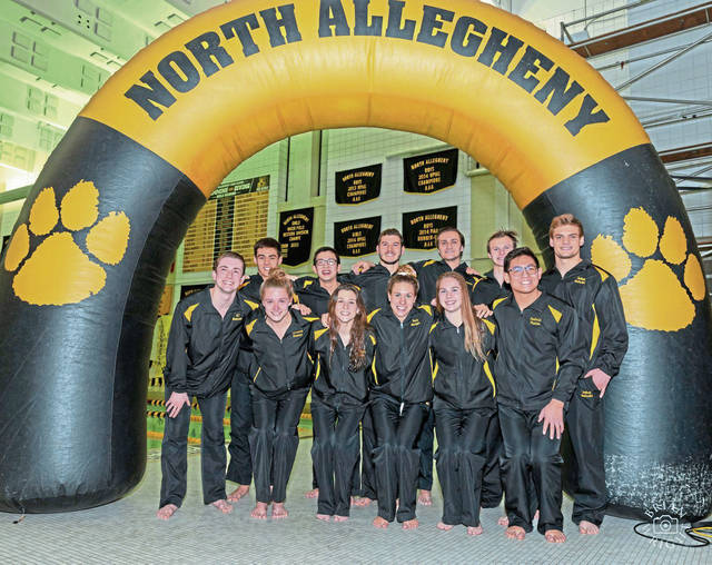 North Allegheny swimming dynasty ready to add to trophy case at WPIAL meet