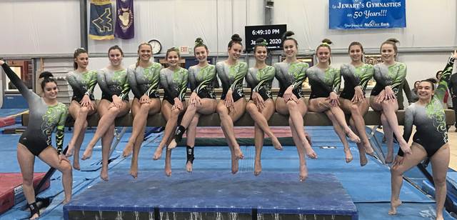 Alexander, Pine-Richland shine at WPIAL gymnastics championships